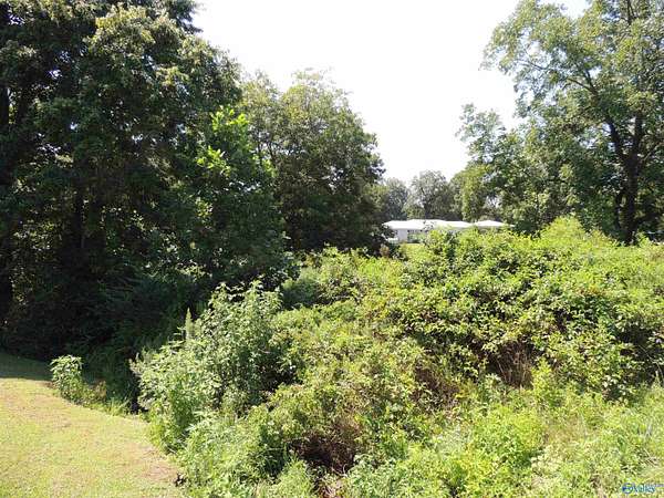 0.51 Acres of Land for Sale in Crossville, Alabama