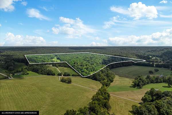 132 Acres of Land for Sale in McEwen, Tennessee