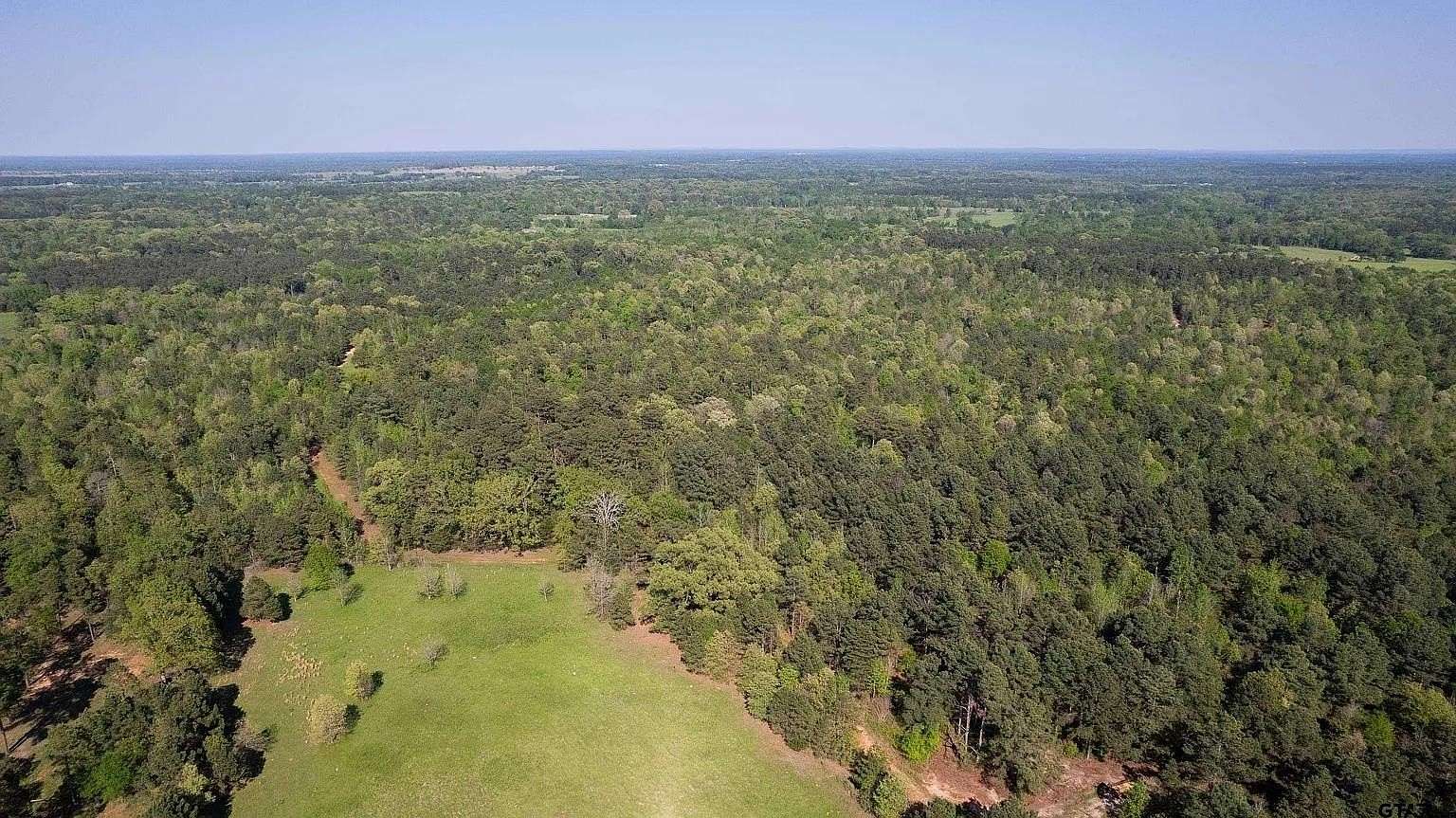 168 Acres of Land for Sale in Winnsboro, Texas