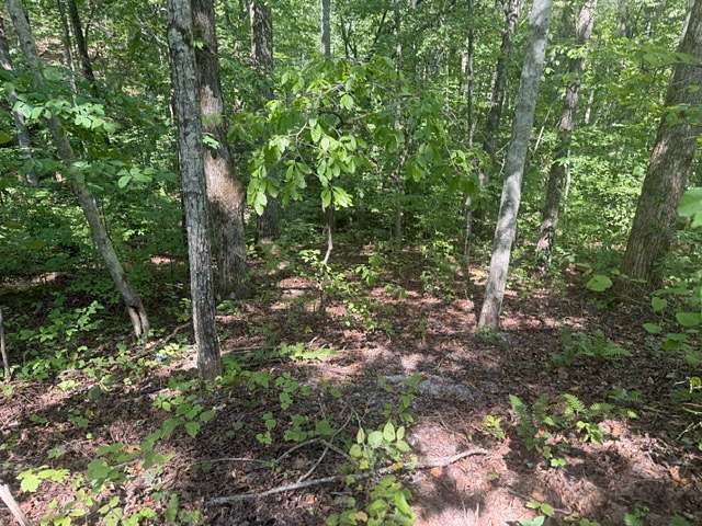 0.18 Acres of Residential Land for Sale in Smithville, Tennessee