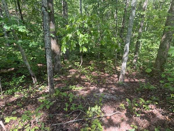 0.18 Acres of Residential Land for Sale in Smithville, Tennessee