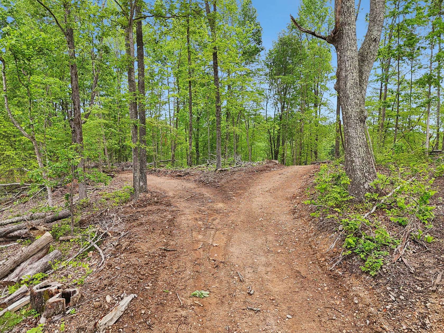 68.3 Acres of Land for Sale in Ashland City, Tennessee