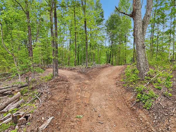 68.3 Acres of Land for Sale in Ashland City, Tennessee