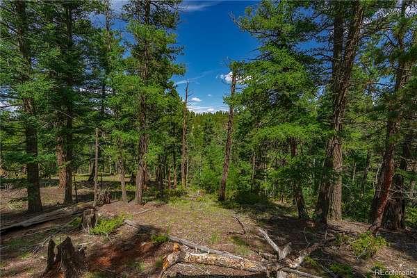 0.6 Acres of Residential Land for Sale in Florissant, Colorado