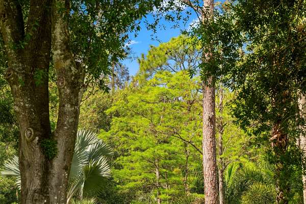 5 Acres of Land for Sale in Loxahatchee Groves, Florida