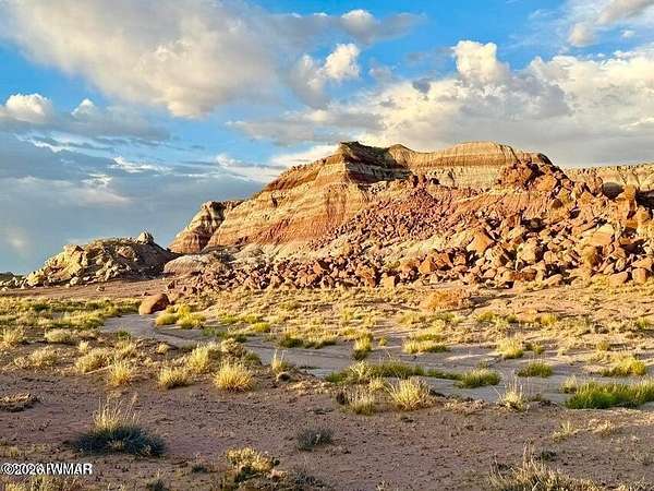 38.8 Acres of Land for Sale in Holbrook, Arizona