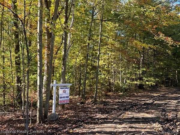 5 Acres of Residential Land for Sale in Prescott, Michigan