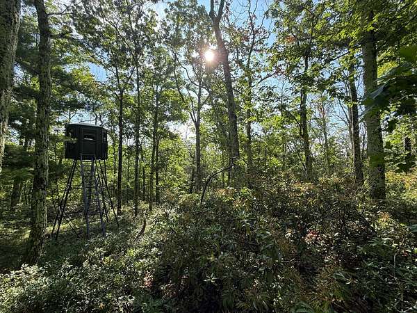 33.8 Acres of Recreational Land for Sale in Mamakating Town, New York