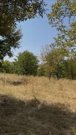 0.12 Acres of Residential Land for Sale in Lone Oak, Texas