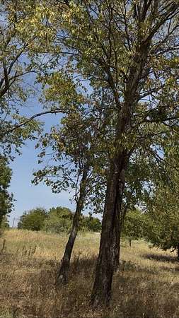 0.12 Acres of Residential Land for Sale in Lone Oak, Texas
