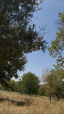 0.12 Acres of Residential Land for Sale in Lone Oak, Texas