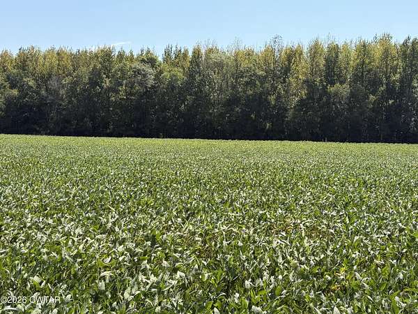 29 Acres of Land for Sale in Mason, Tennessee