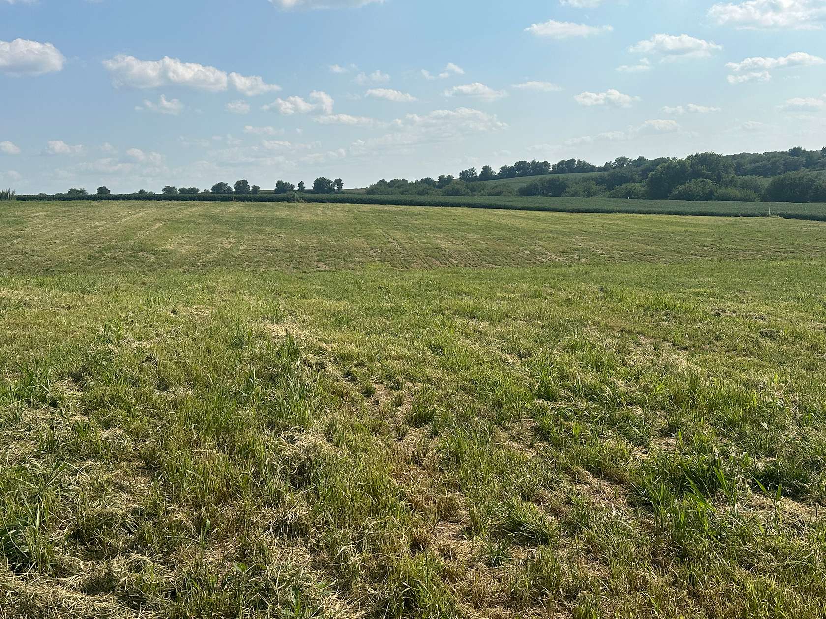 10.7 Acres of Land for Sale in Glenwood, Iowa