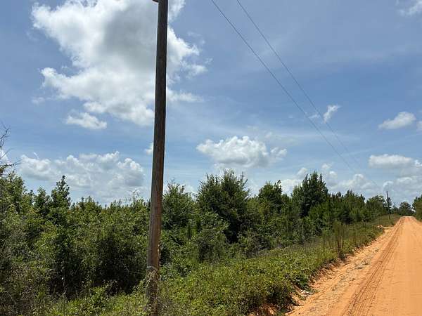 20 Acres of Recreational & Residential Land for Sale in Rentz, Georgia