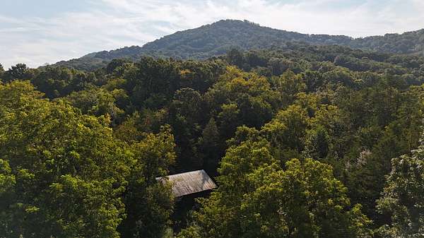 100 Acres of Recreational & Residential Land for Sale in Luttrell, Tennessee