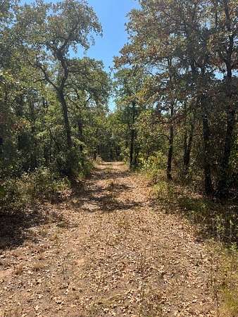 19 Acres of Recreational & Residential Land for Sale in Perrin, Texas