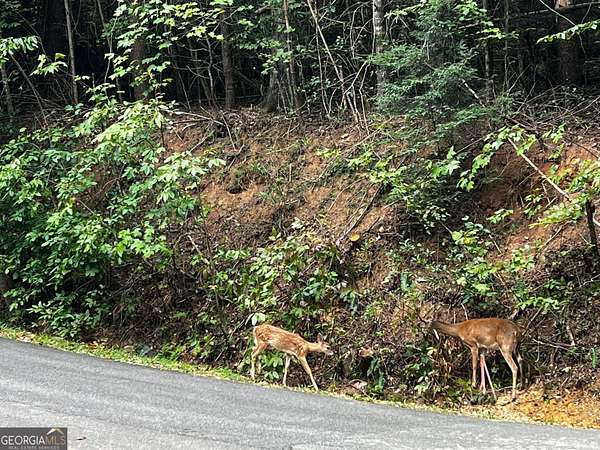 10.4 Acres of Land for Sale in Ellijay, Georgia