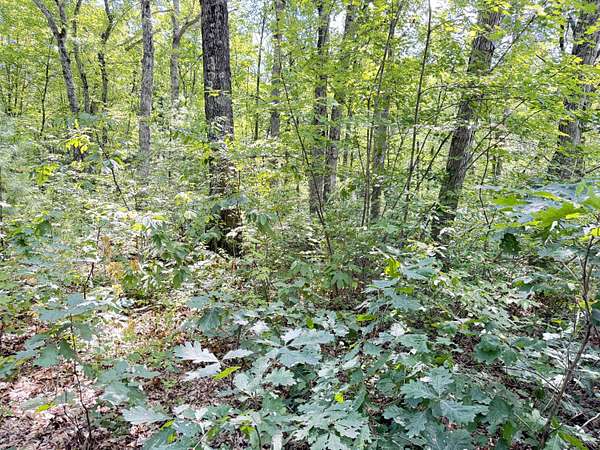 0.28 Acres of Land for Sale in Bitely, Michigan