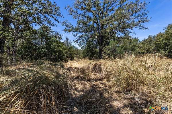 10.4 Acres of Agricultural Land for Sale in Kingsbury, Texas