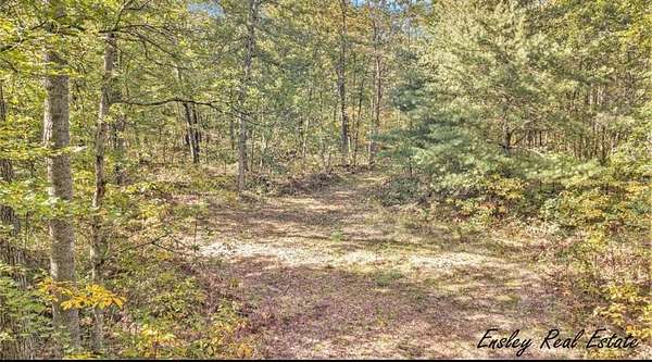 5.52 Acres of Residential Land for Sale in Newaygo, Michigan