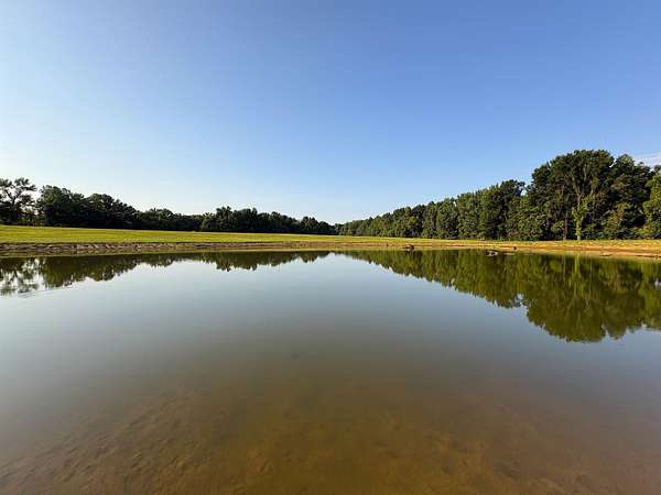 12 Acres of Land for Sale in Arlington, Tennessee