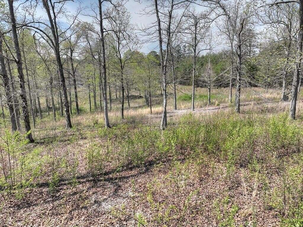 1.2 Acres of Residential Land for Sale in Mineral Bluff, Georgia