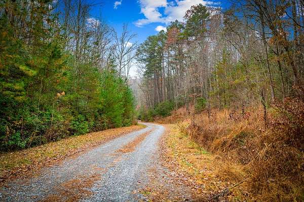 6 Acres of Land for Sale in Blue Ridge, Georgia
