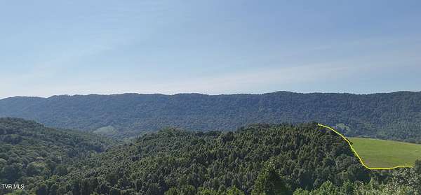 75.2 Acres of Land for Sale in Jonesville, Virginia