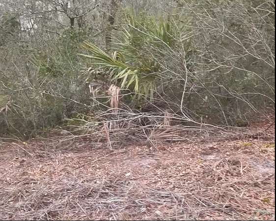 0.37 Acres of Residential Land for Sale in Umatilla, Florida