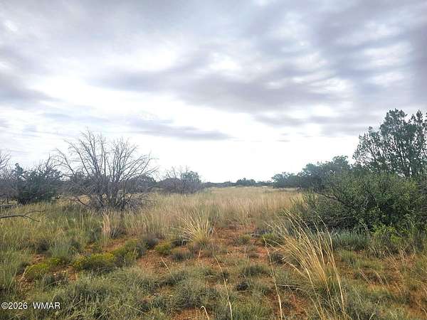 23 Acres of Recreational & Residential Land for Sale in Heber, Arizona