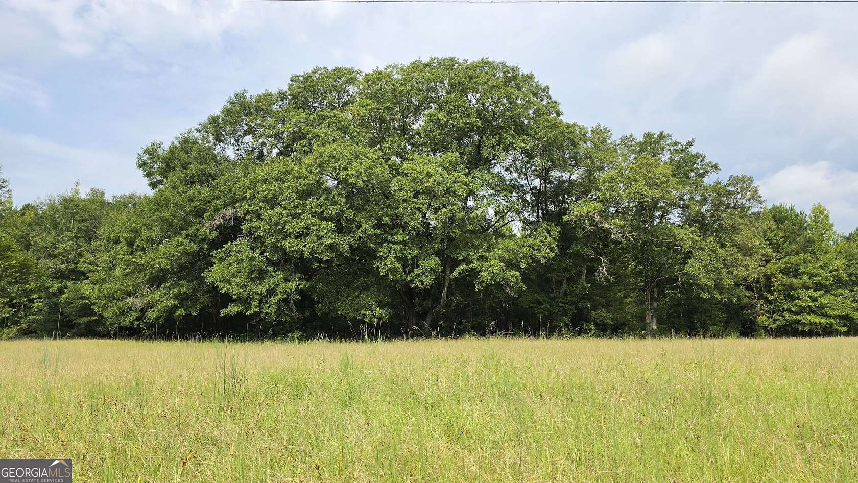 10.2 Acres of Land for Sale in Gay, Georgia