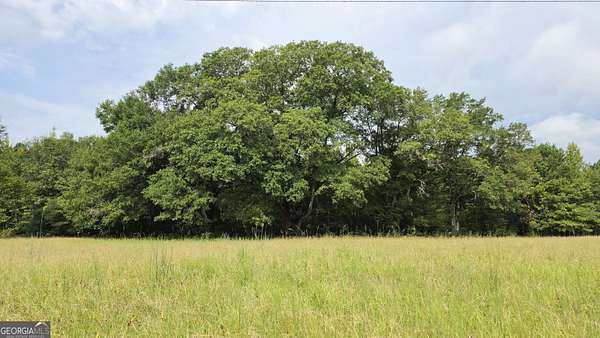 10.2 Acres of Land for Sale in Gay, Georgia
