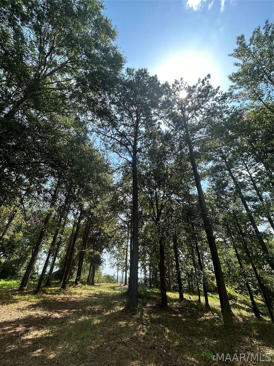 3.1 Acres of Residential Land for Sale in Catherine, Alabama