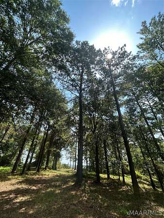 3.1 Acres of Residential Land for Sale in Catherine, Alabama