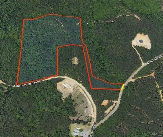 38 Acres of Recreational Land for Sale in Northport, Alabama