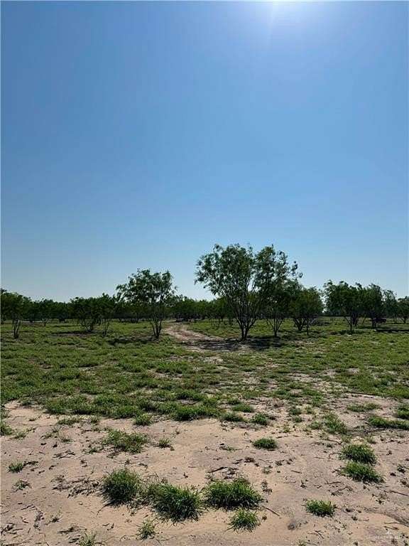 10.1 Acres of Land for Sale in Penitas, Texas