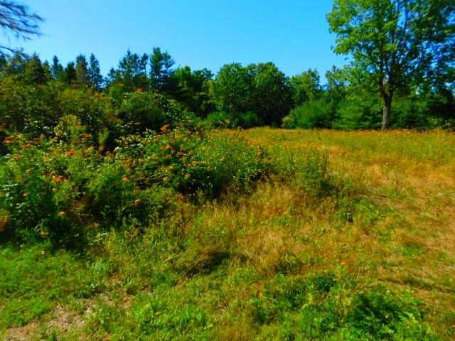 2 Acres of Land for Sale in Holden, Maine