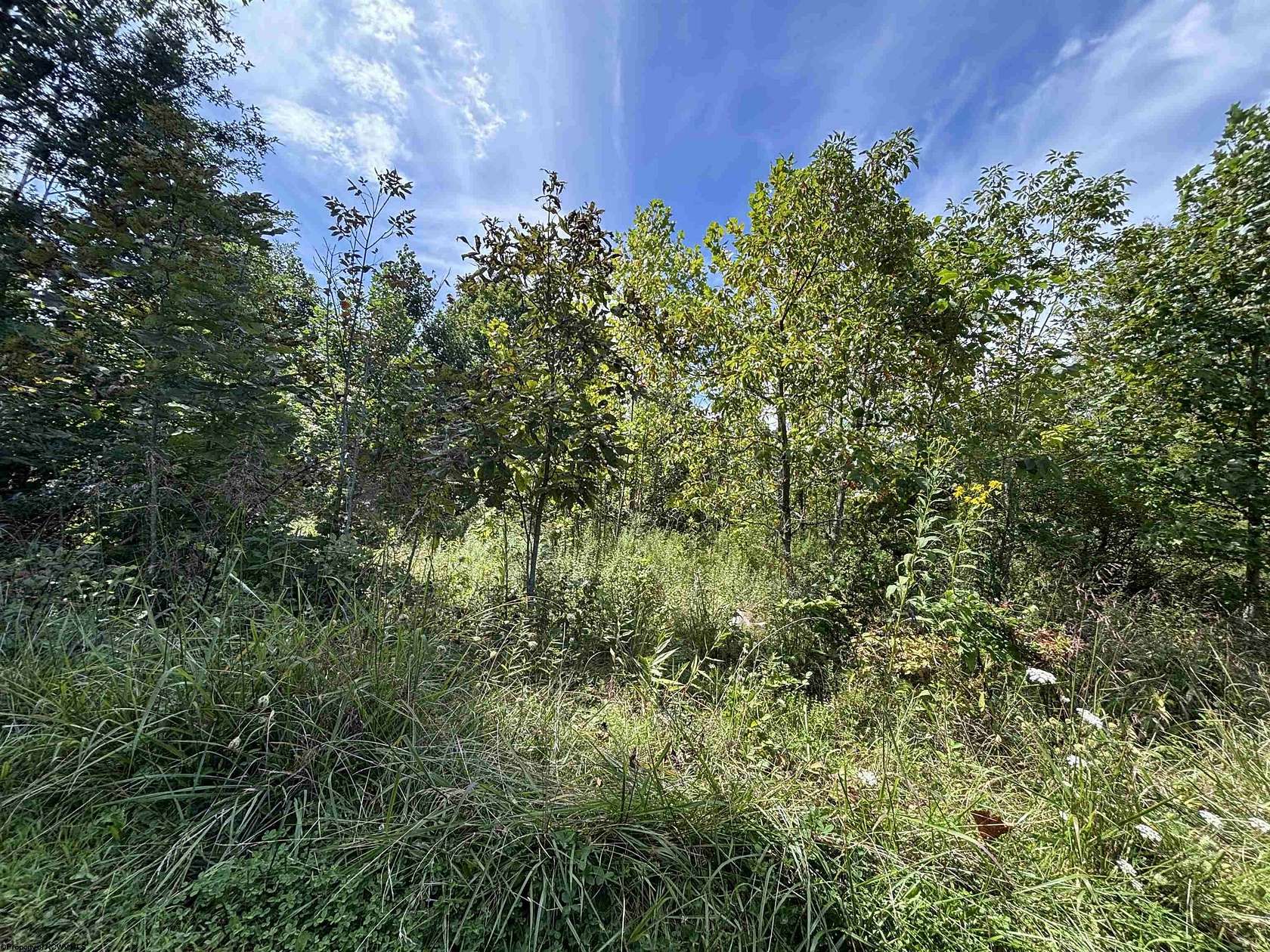 1.2 Acres of Residential Land for Sale in Philippi, West Virginia