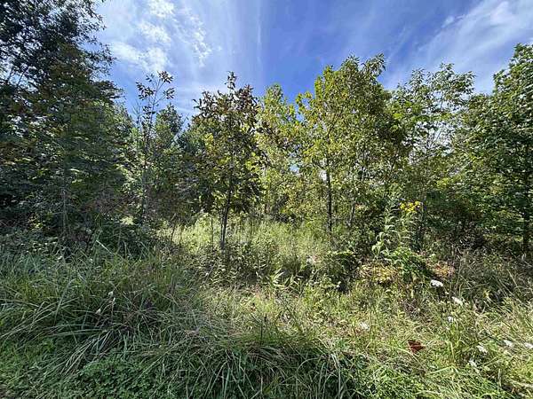1.2 Acres of Residential Land for Sale in Philippi, West Virginia