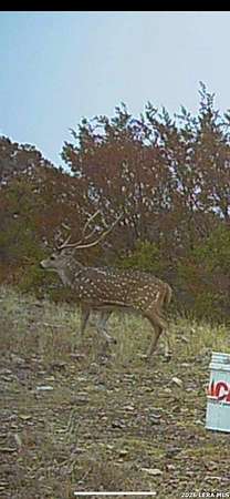 22.9 Acres of Recreational Land for Sale in Rocksprings, Texas
