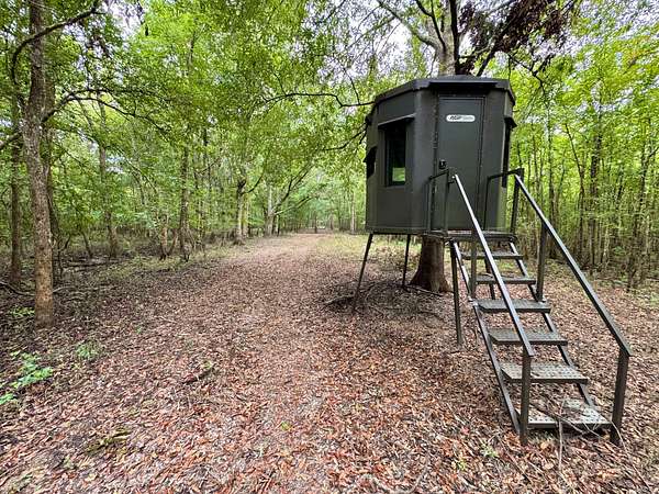 192 Acres of Recreational Land for Sale in Marksville, Louisiana