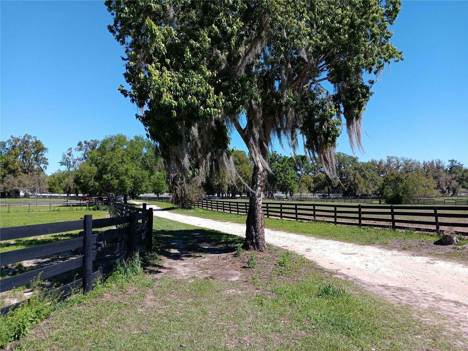 10.9 Acres of Agricultural Land for Lease in Citra, Florida