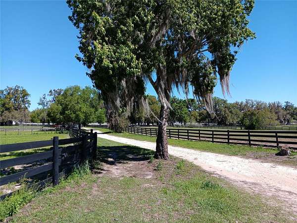 10.9 Acres of Agricultural Land for Lease in Citra, Florida