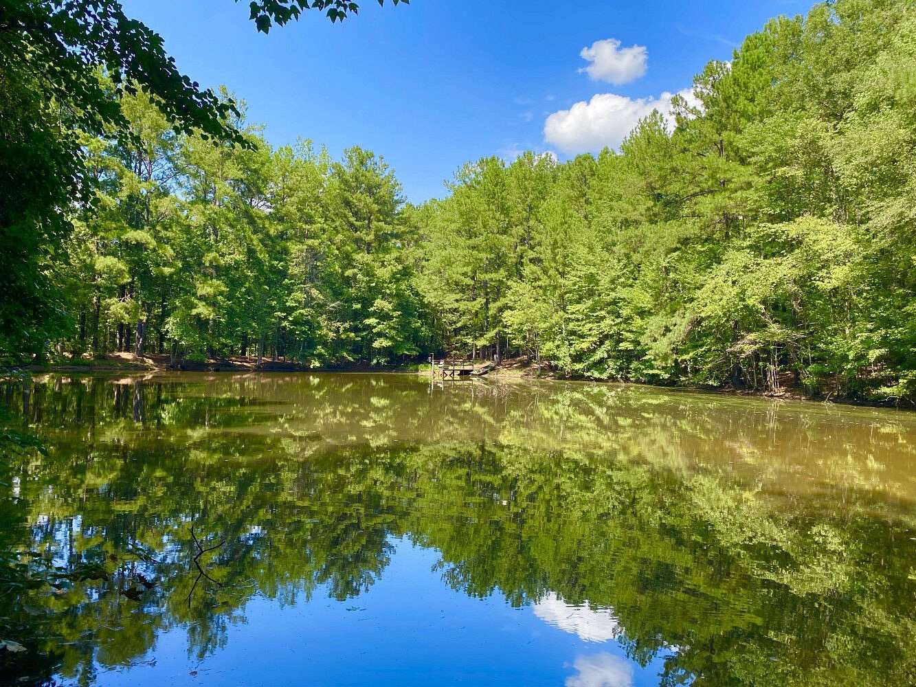 40 Acres of Land with Home for Sale in Cottondale, Alabama