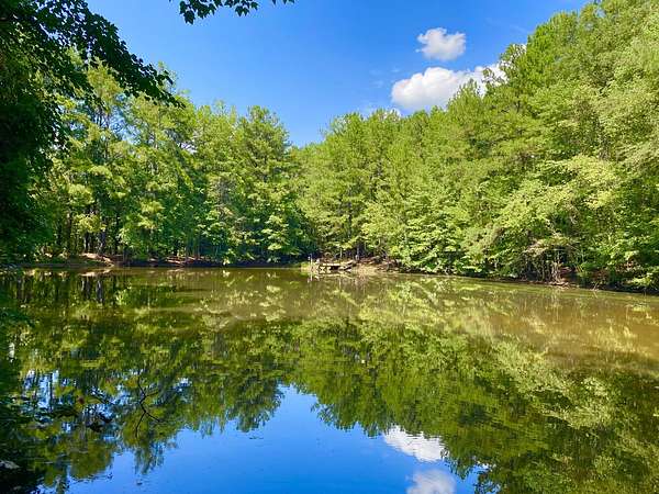 40 Acres of Land with Home for Sale in Cottondale, Alabama