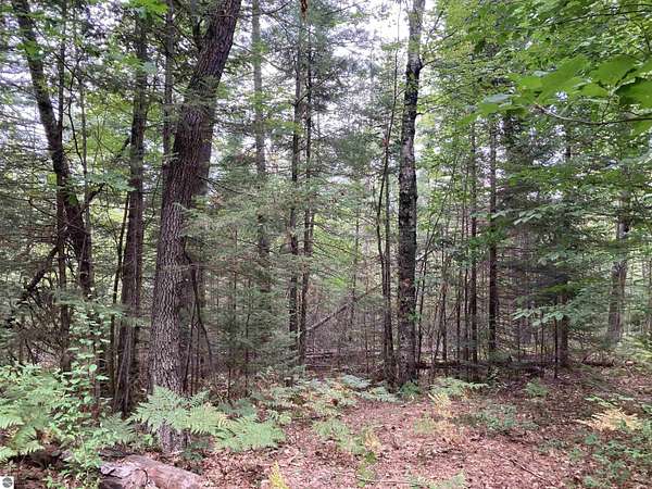 46 Acres of Recreational & Residential Land for Sale in Lupton, Michigan