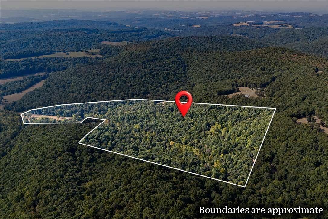 34.6 Acres of Recreational & Residential Land for Sale in Wesley, Arkansas
