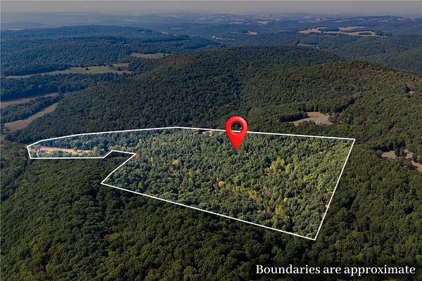 34.6 Acres of Recreational & Residential Land for Sale in Wesley, Arkansas
