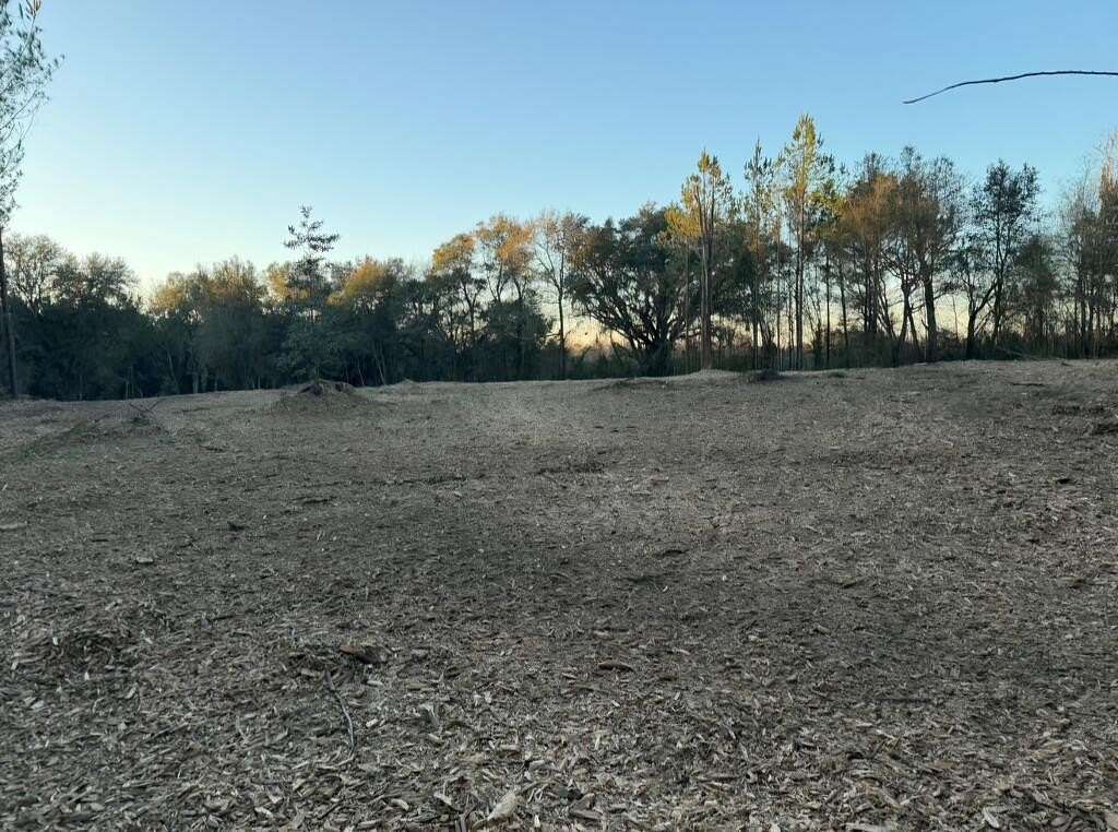 7.25 Acres of Residential Land for Sale in Gordon, Alabama