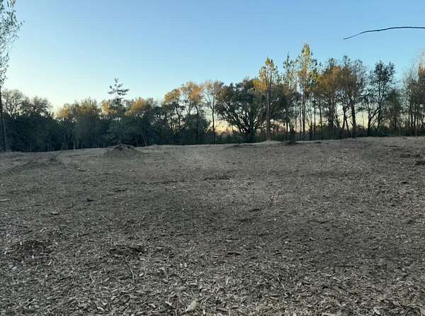 7.25 Acres of Residential Land for Sale in Gordon, Alabama